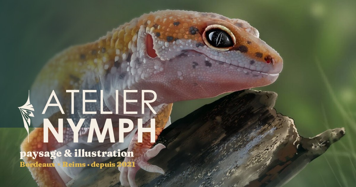 Aperçu du site Atelier Nymph